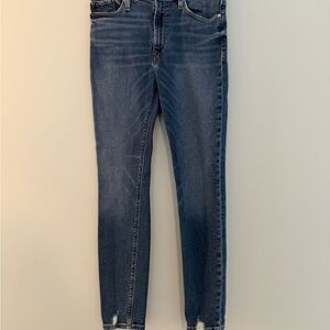 Hudson Jeans Blue Skinny Classic